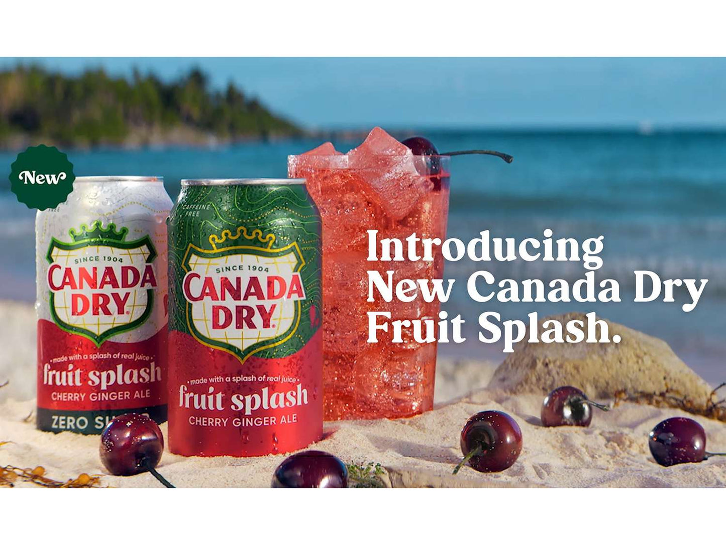 Canada Dry Fruit Splash Cherry Ginger Ale Soda Soft Drink, 12 Fl Oz