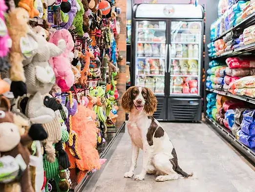 Pet Supplies