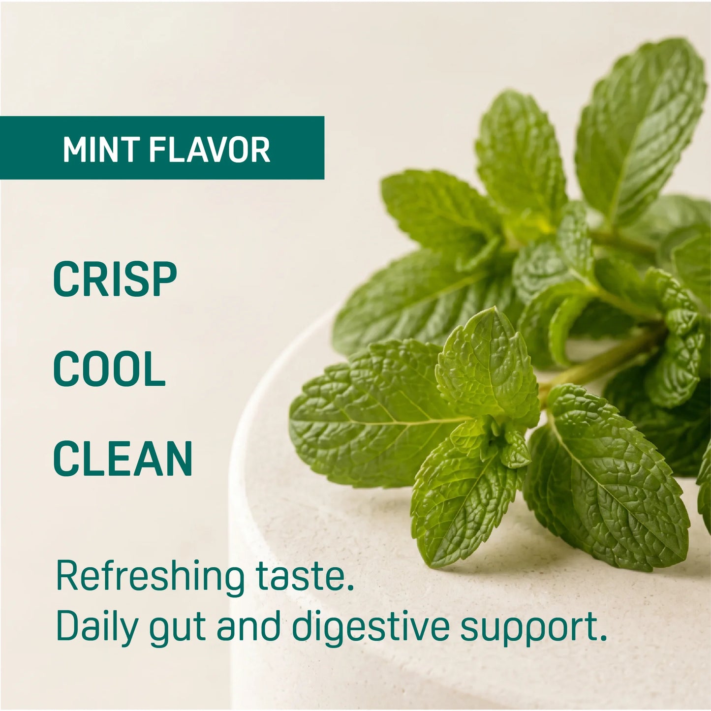 Opu Probiotics Mint Flavor Daily Probiotic Powder, Pour-On-Tongue Stick Packs, 30 Count