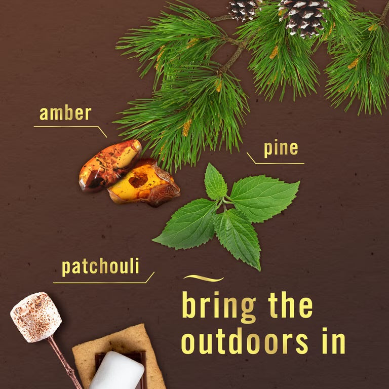 Febreze Plug In Air Freshener, Odor-Fighting Scented Oil Refill, Cozy Campfire Scent, 2 Refills