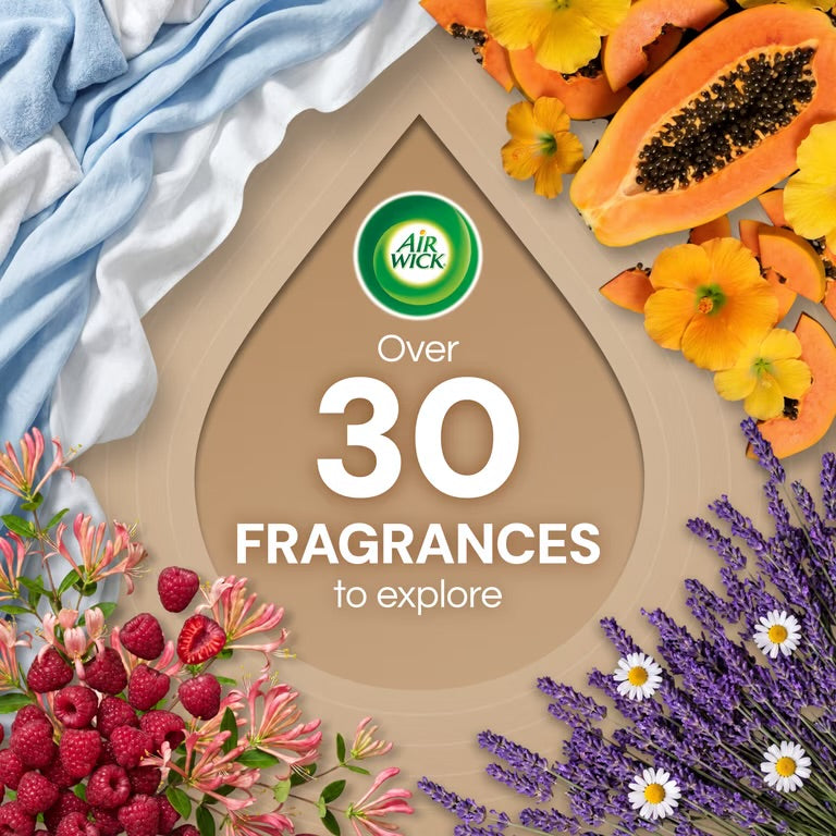 Air Wick Plug-in Fall Scented Oil Warmer Air Freshener Refills, Hazelnut Latte, 4 Count