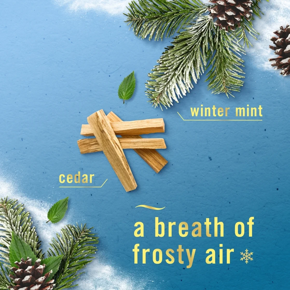 Febreze Plug In Air Freshener, Odor-Fighting Scented Oil 3 Refill, Holiday Mix