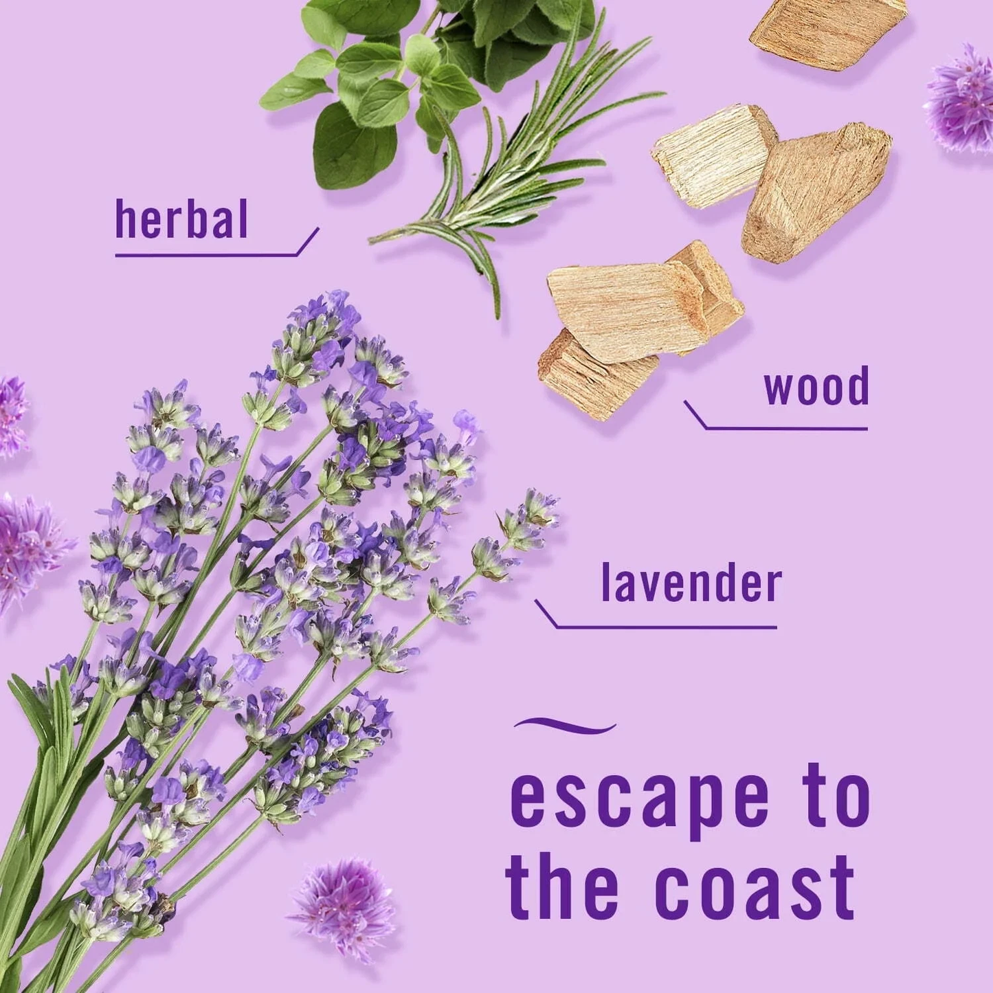 Febreze Plug In Air Freshener Odor-Fighting Scented Oil 3 Refill Lavender