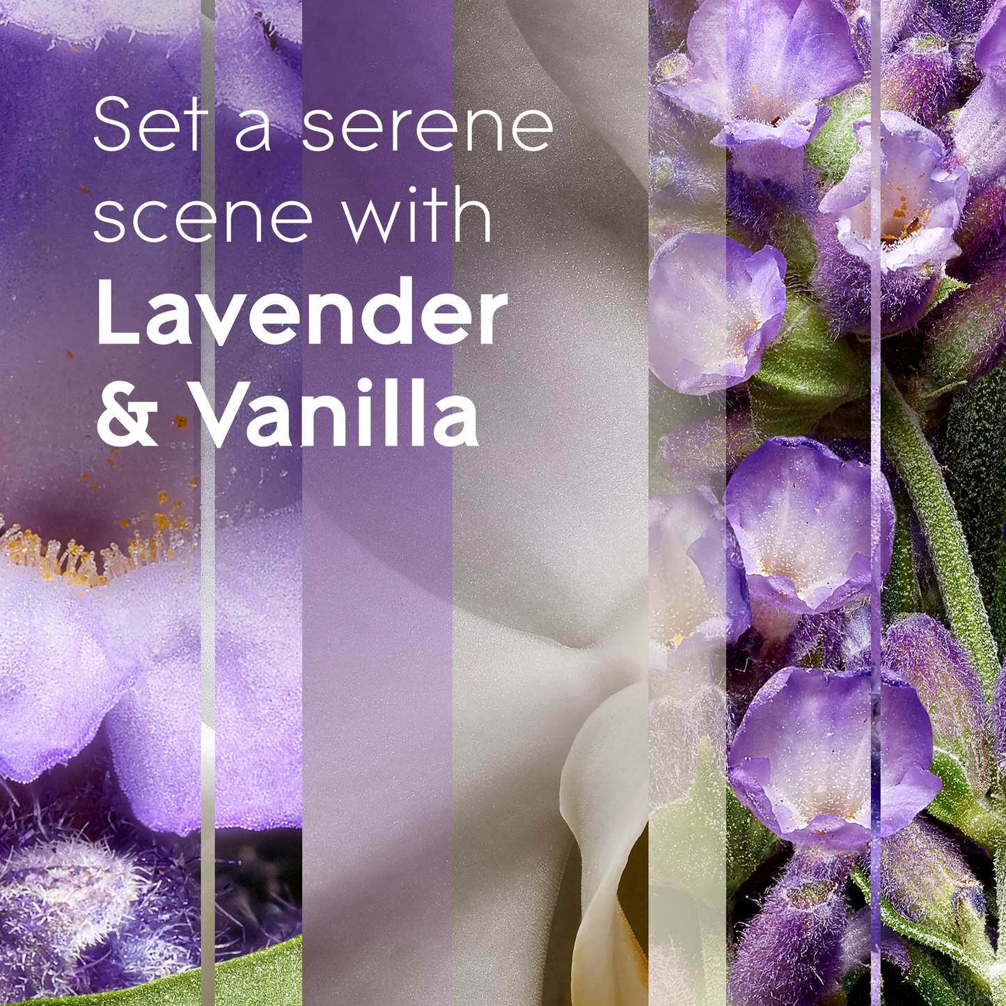 Glade PlugIns Refill Air Freshener, Lavender & Vanilla, 5 Pack