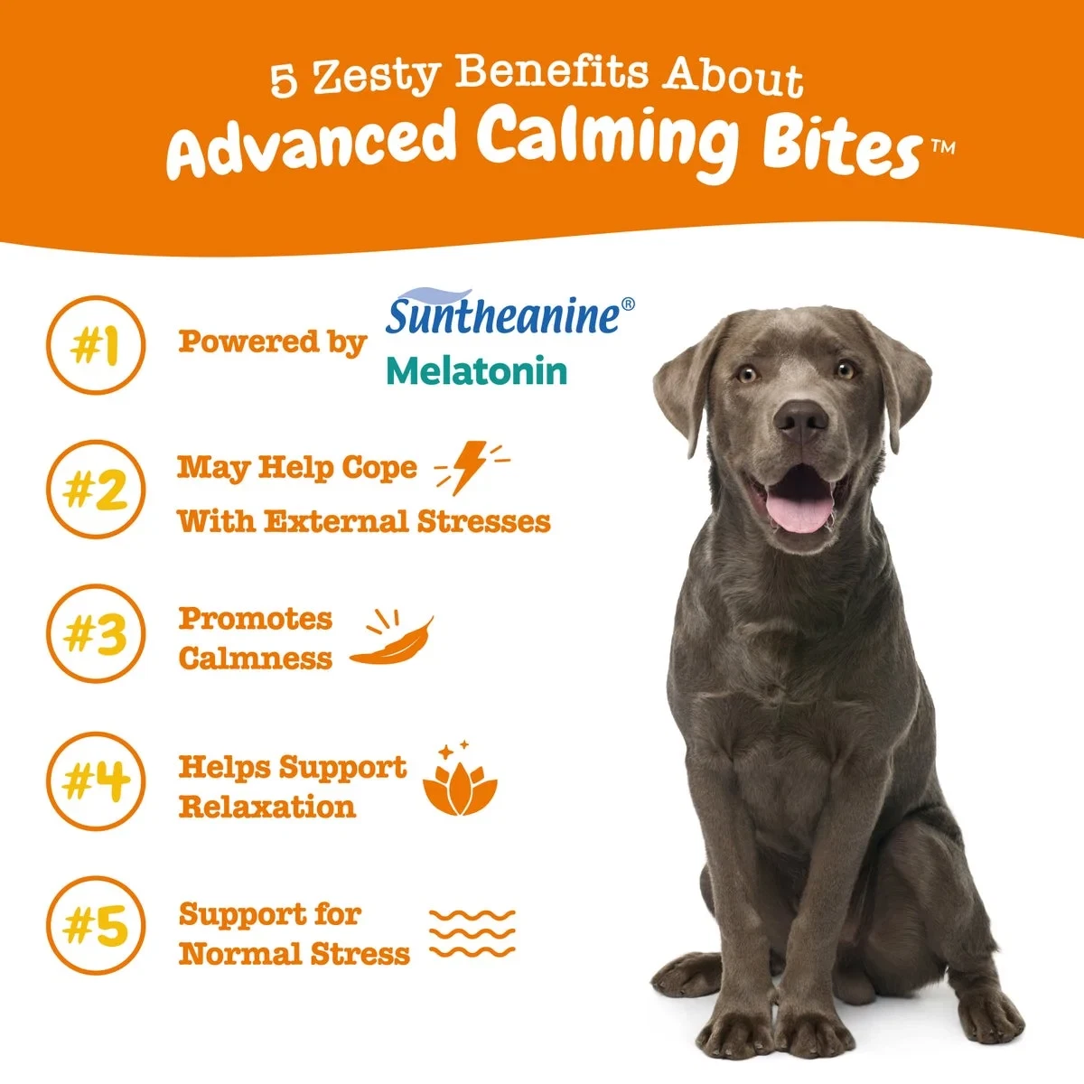 Zesty Paws Advanced Calming Bites for Dogs Calming Behavior, Turkey Flavor 60 CT