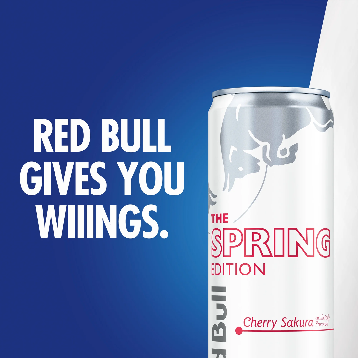 Red Bull Spring Edition Energy Drink, Cherry Sakura, 12 fl. oz., Pack of 4